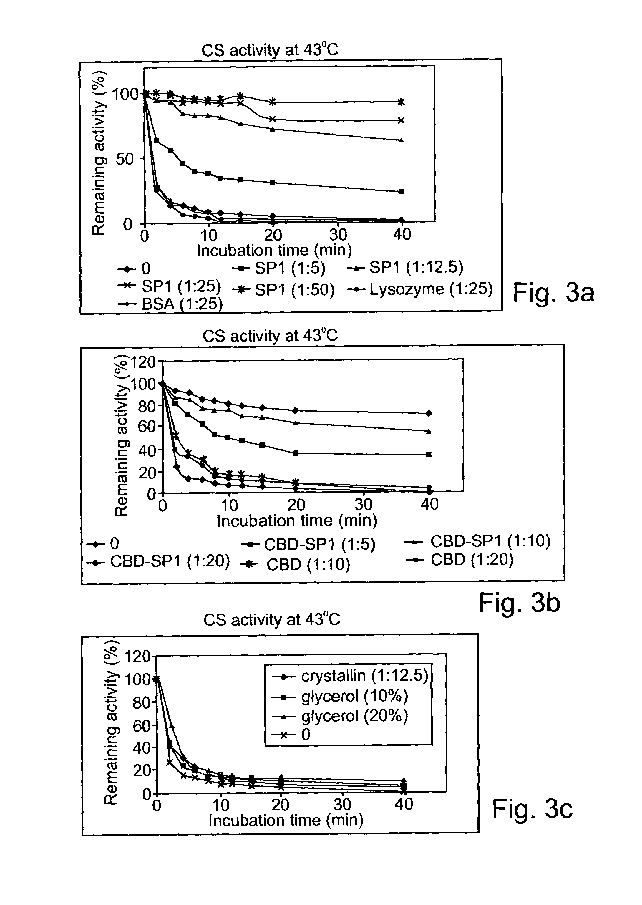 Denaturant stable and/or protease resistant, chaperone-like oligomeric proteins, polynucleotides encoding same, their uses and methods of increasing a specific activity thereof