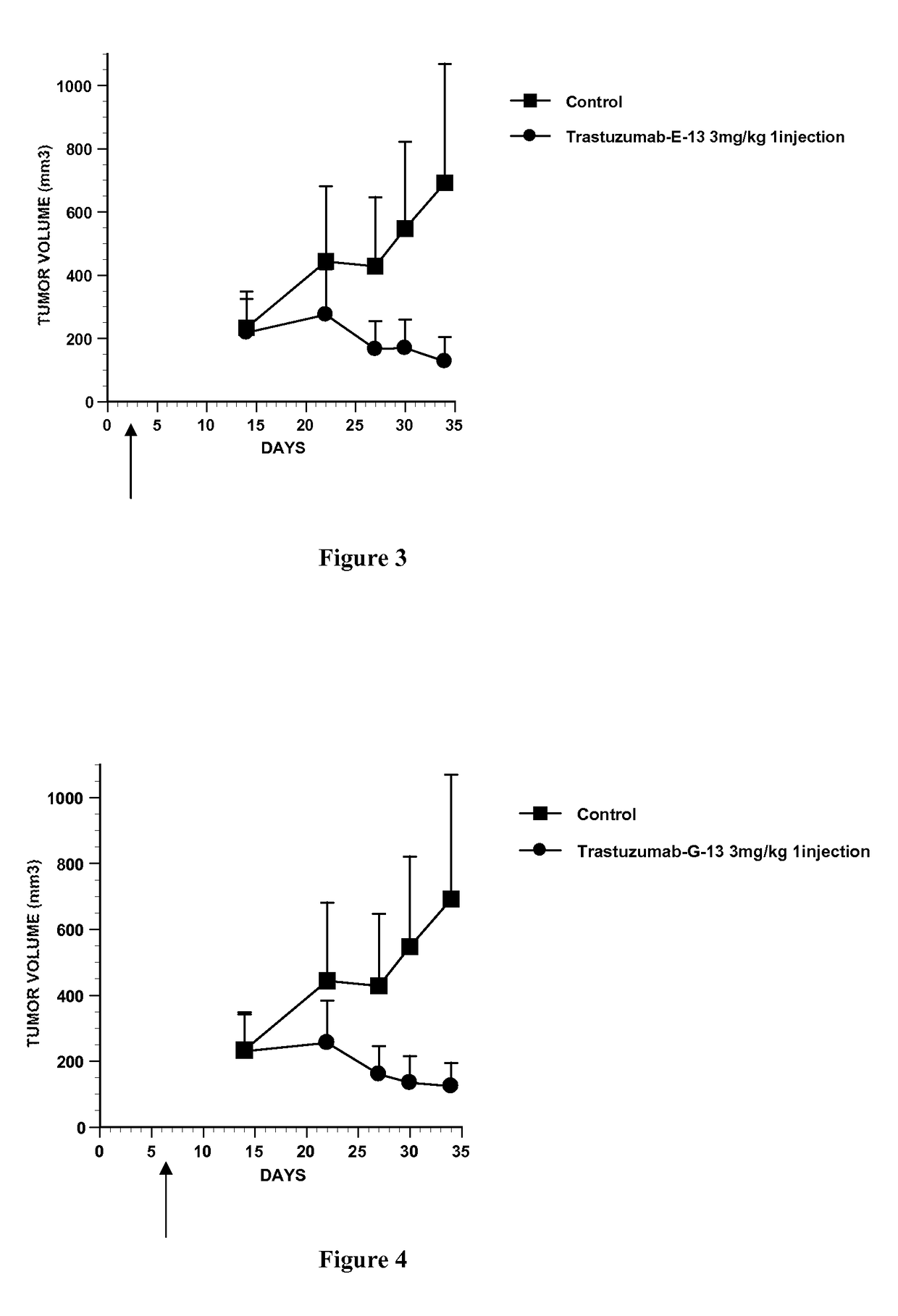 Conjugate of monomethyl auristatin F and trastuzumab and its use for the treatment of cancer