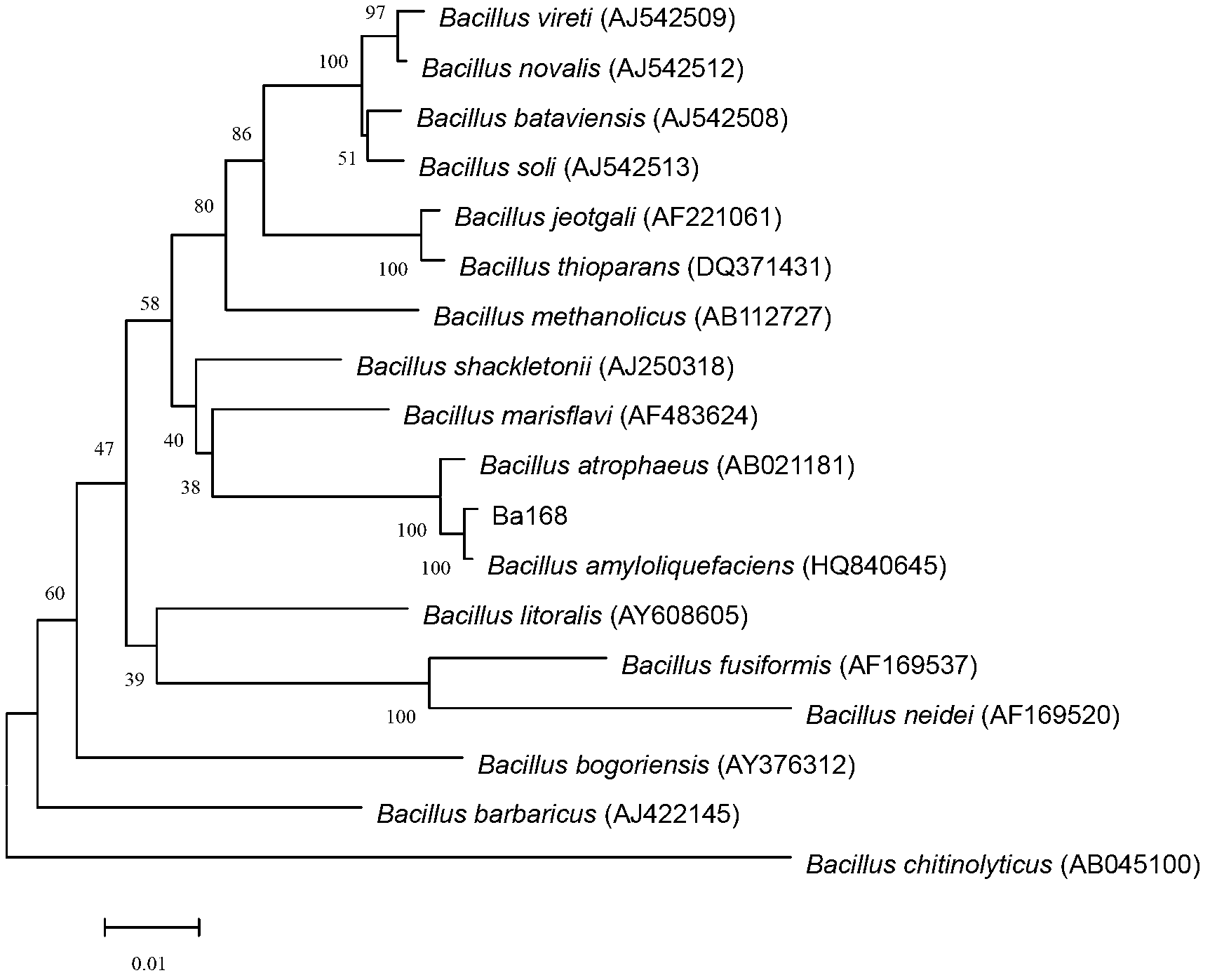 Bacillus amyloliquefaciens (Ba 168) and fermenting culture method and application of bacillus amyloliquefaciens