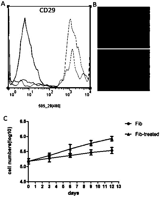 Small-molecular compound/combination for preventing, delaying or reversing aging of cells, tissues, organs and bodies, product thereof, and use of compound/combination and product
