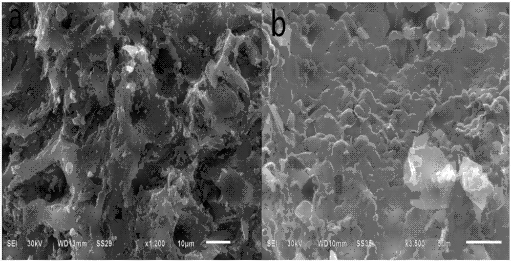 A process for preparing nitrogen-doped porous carbon material using jujube core and a preparation method for supercapacitor electrodes