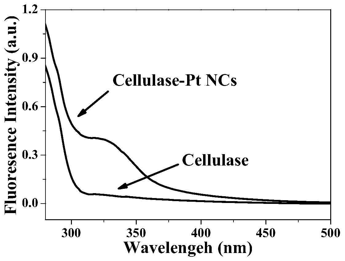 Fluorescent cellulase platinum nano-cluster and preparation method and application thereof