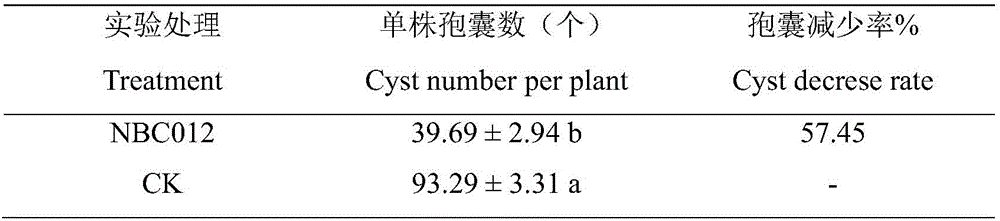 Nematicidal-activity P. oxalicum NBC012 and preparation method and application thereof