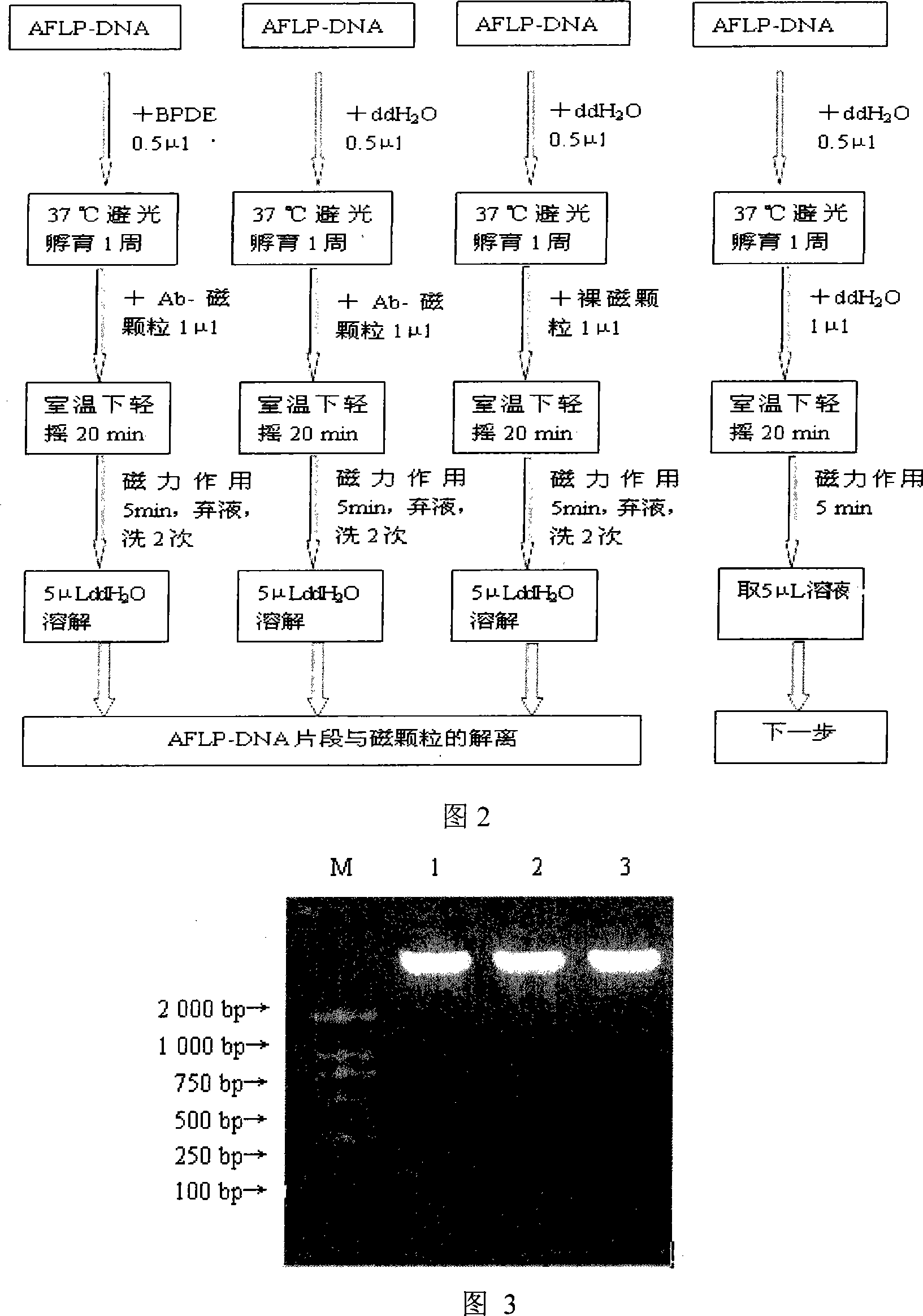 Whole-genom sifting method for BPDE carcinogen related gene