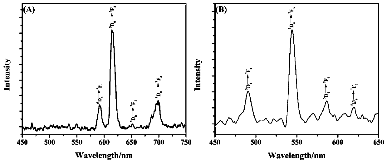 Preparation method of luminescent collagen polypeptide-lanthanide-series metal composite nanomaterial with cell adhesion function