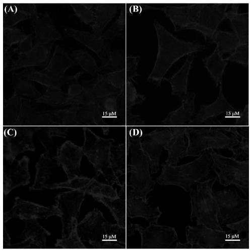Preparation method of luminescent collagen polypeptide-lanthanide-series metal composite nanomaterial with cell adhesion function