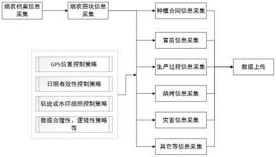 System for accurately collecting mountainous area tobacco production information data and data collection method