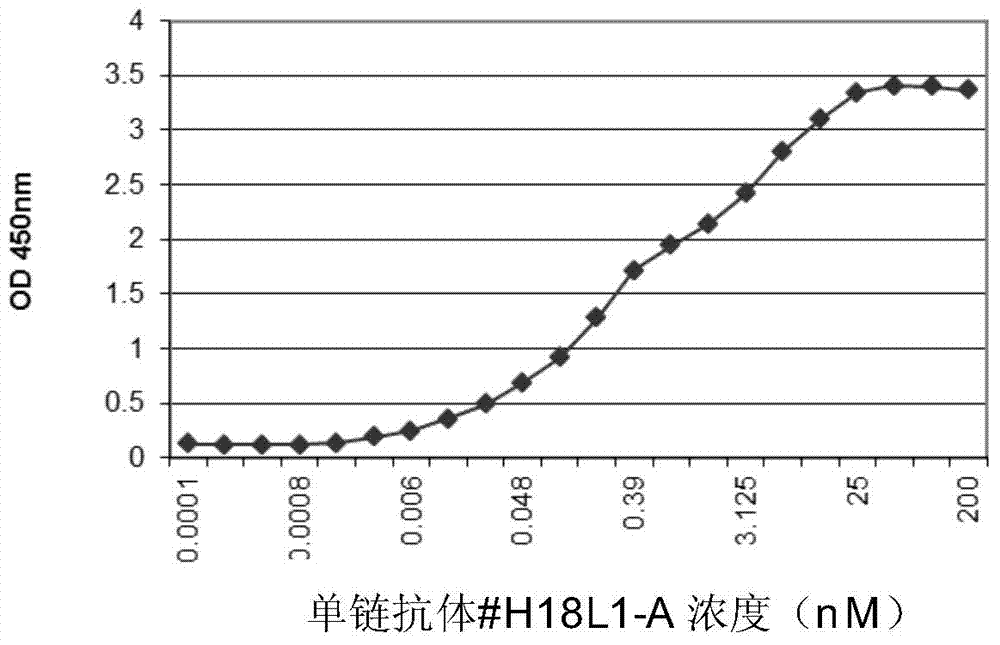 Anti-human papilloma virus L1 protein antibody, and coding gene and application thereof
