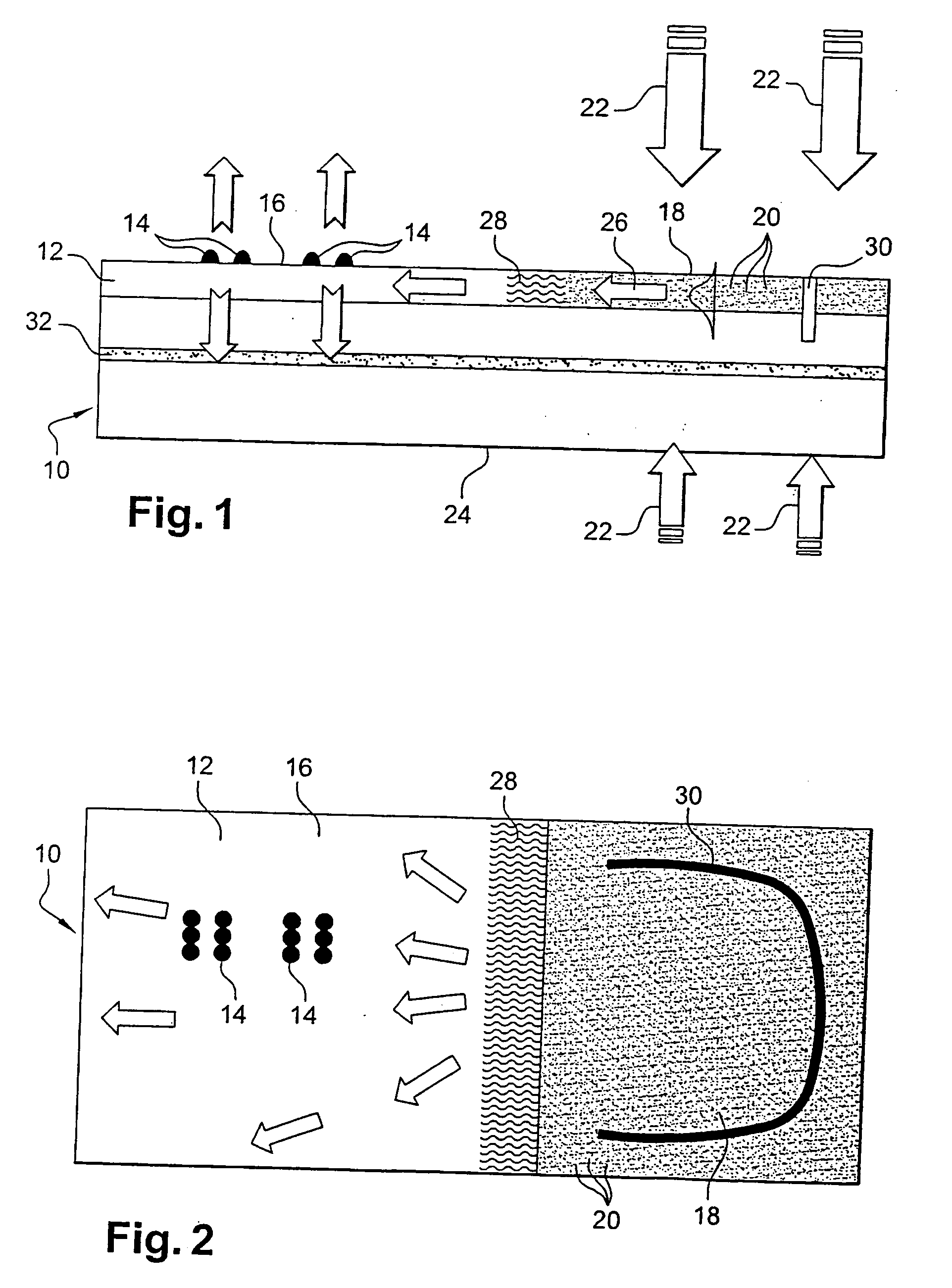 Device for supporting chromophore elements