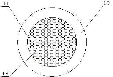 Shellfish energy budget in-situ measuring device