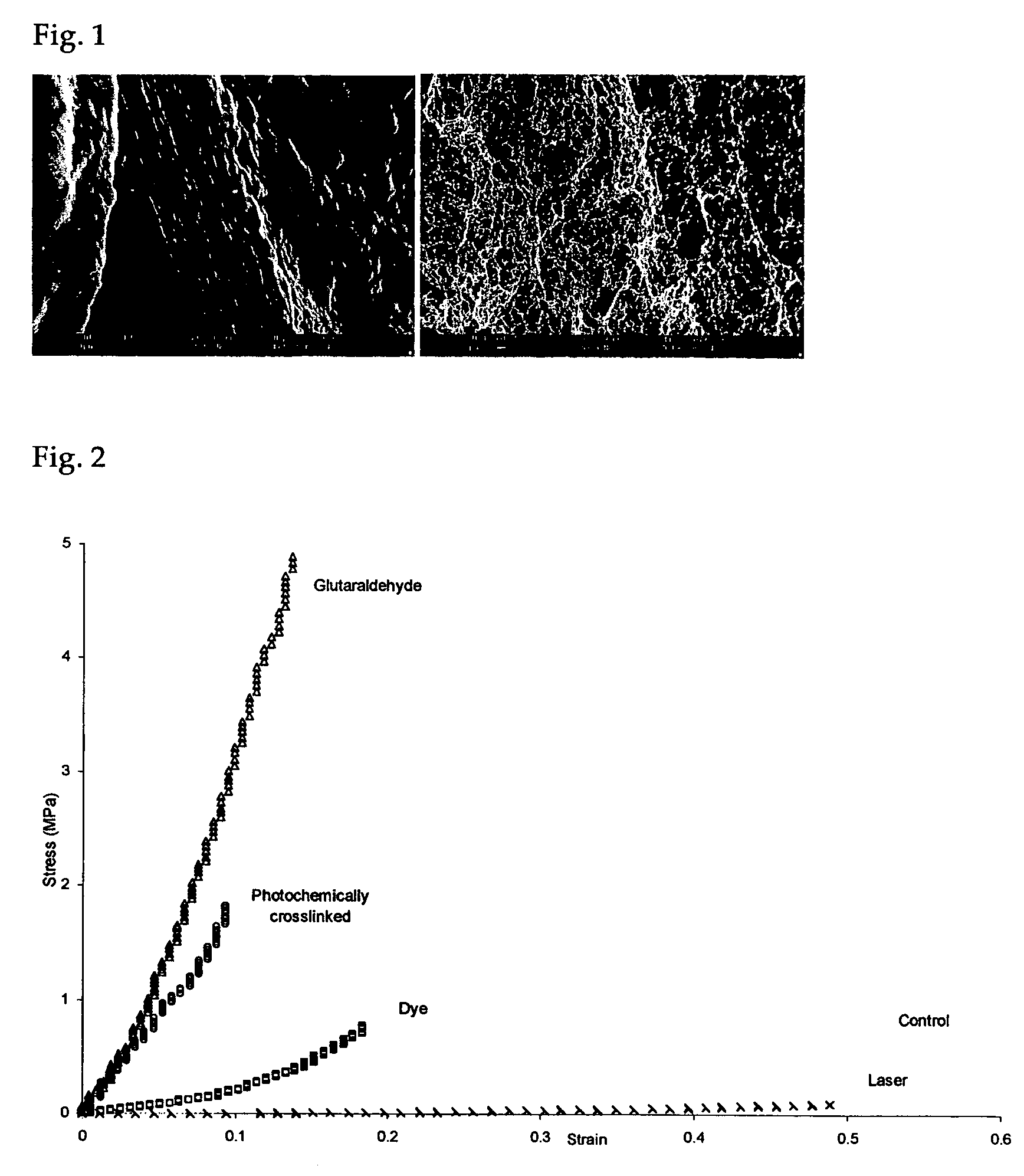 Photochemically crosslinked collagen scaffolds and methods for their preparation