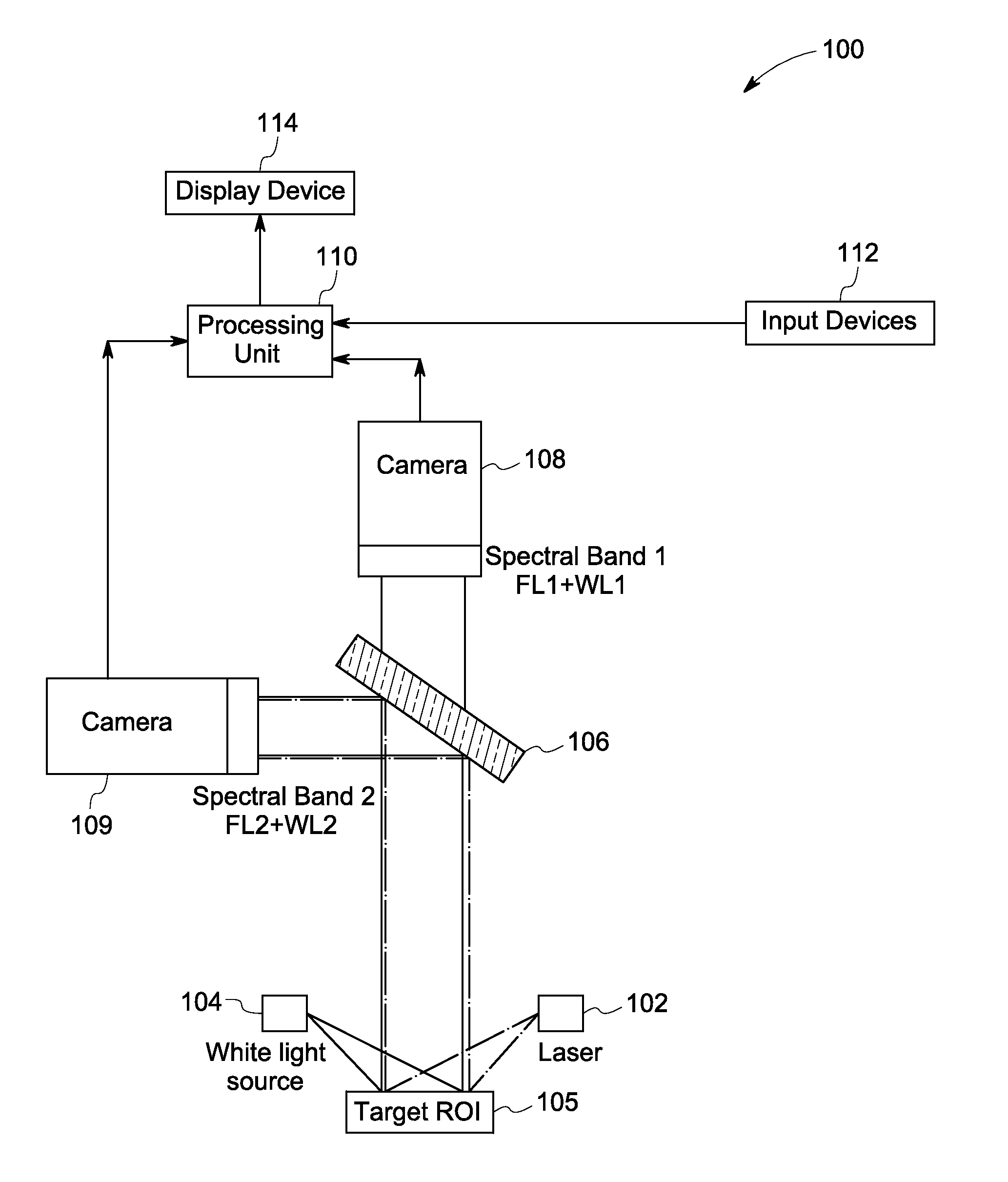 Systems and methods for nerve imaging