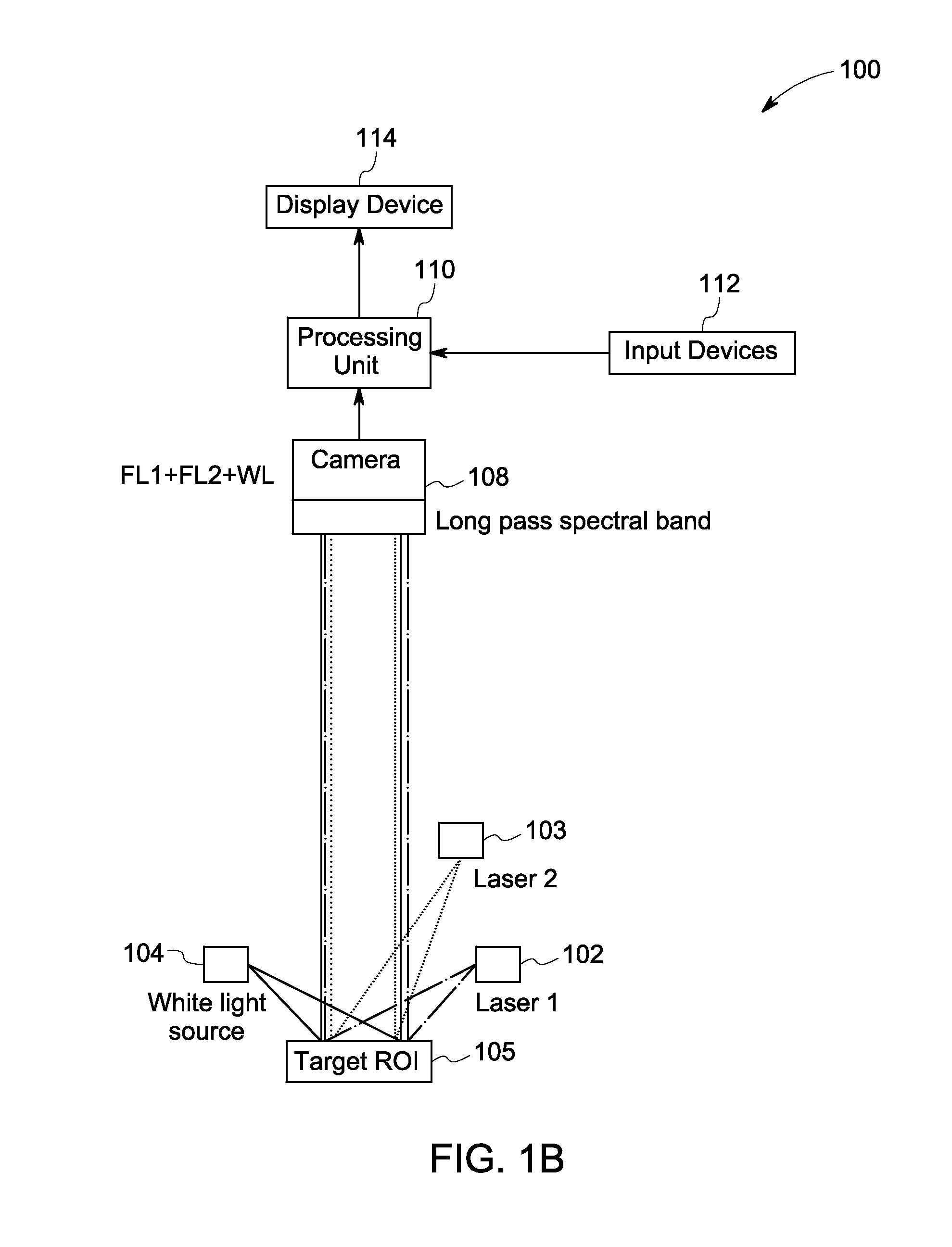 Systems and methods for nerve imaging