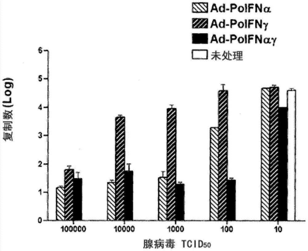 Recombinant Adenovirus Expressing Porcine α-Interferon and Porcine γ-Interferon Simultaneously