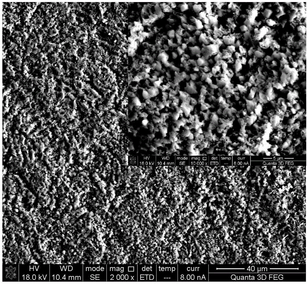 Method for preparing micro-nano porous structure on titanium or titanium alloy surface