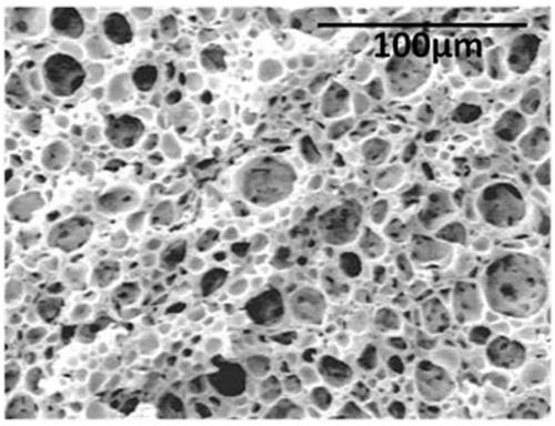 A shape memory epoxy foam