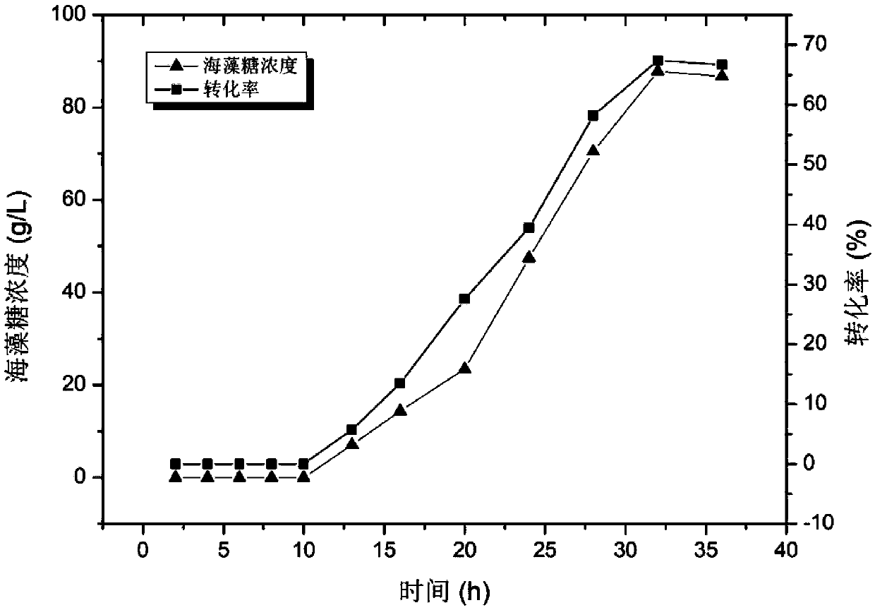 Method for producing trehalose by coupling fermentation on double enzyme fusion enzyme expressed by efficient secretion