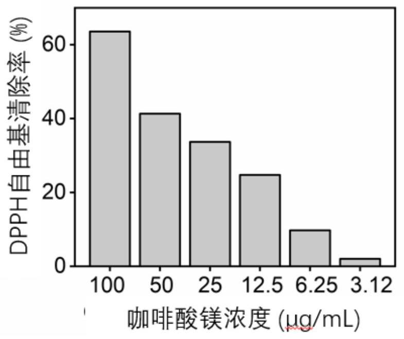 Preparation of caffeic acid or caffeic acid derivative metal chelate nanoparticles and application thereof