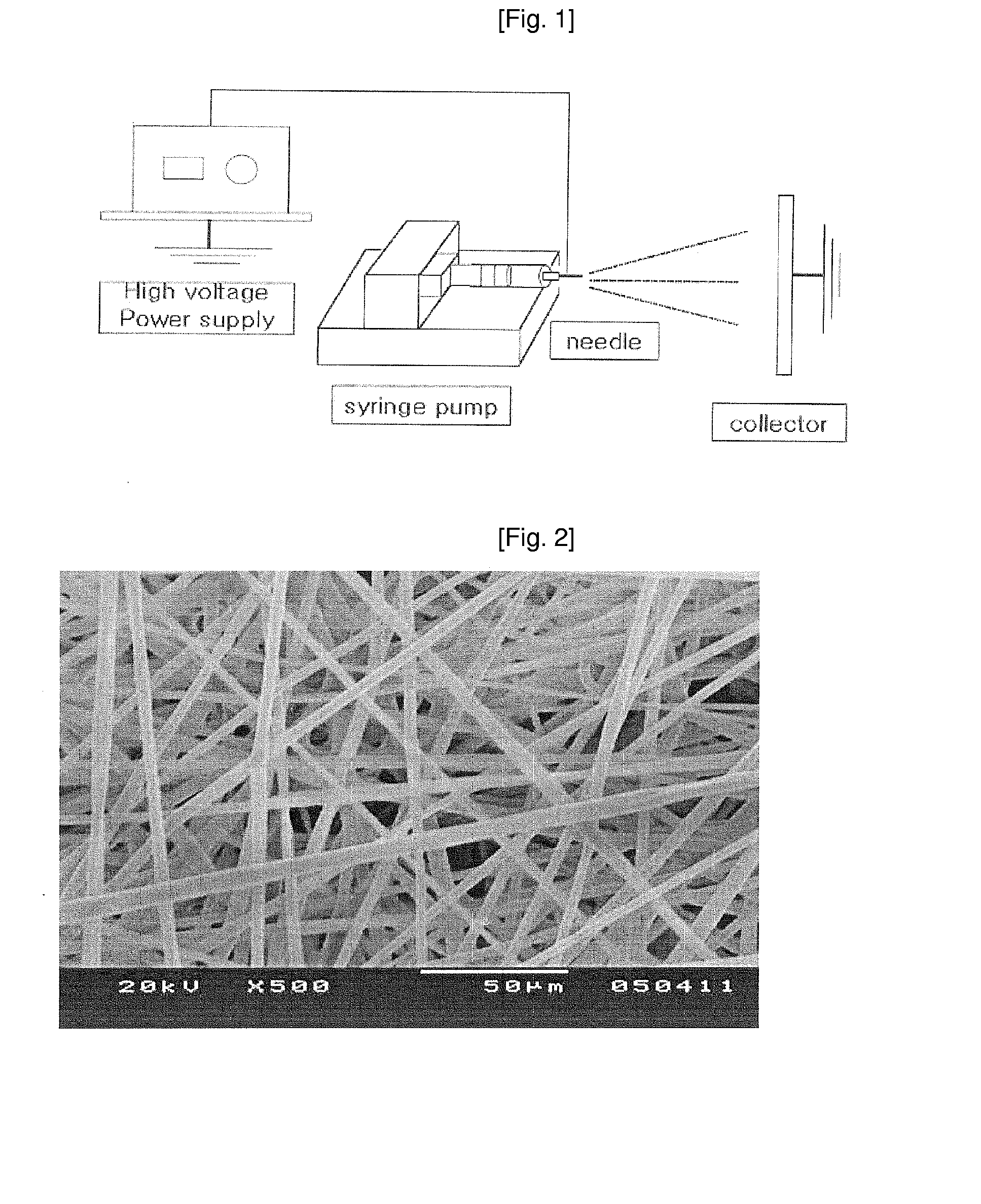 Fibrous 3-Dimensional Scaffold Via Electrospinning For Tissue Regeneration and Method For Preparing the Same