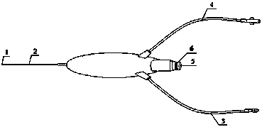 A color ultrasound imaging microwave treatment system and microwave radiation probe identification method