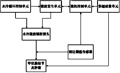 A color ultrasound imaging microwave treatment system and microwave radiation probe identification method