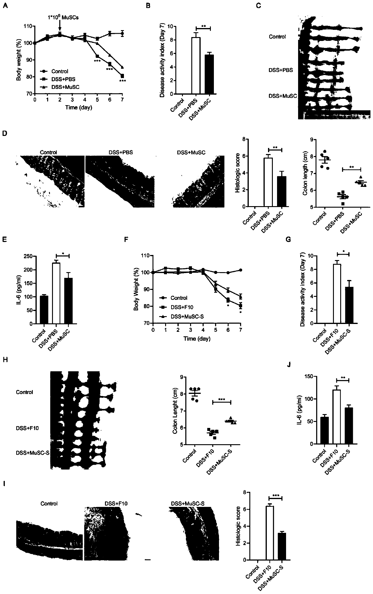 Application of muscle stem cells in preparation of anti-inflammatory drugs