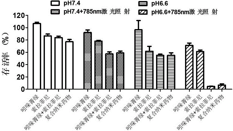 Multifunctional composite nanometer medicine for tumor imaging and treatment and preparation method of composite nanometer medicine