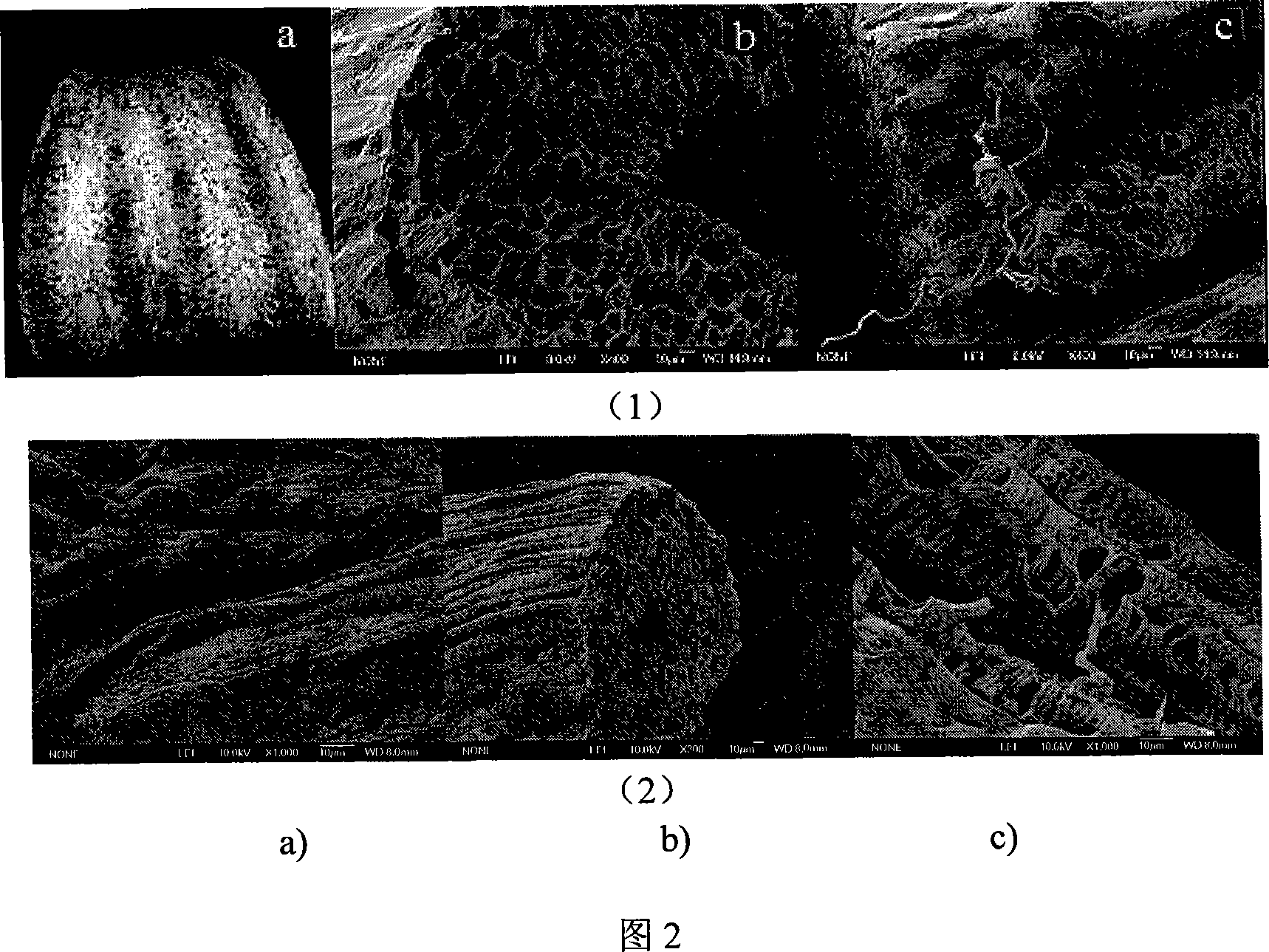 Method for preparing etherification luffa and application of it in metallic ion adsorption