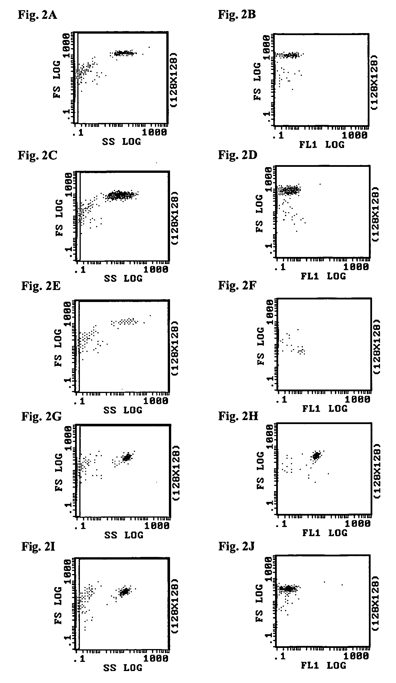 Cell permeabilization and stabilization reagent and method of use