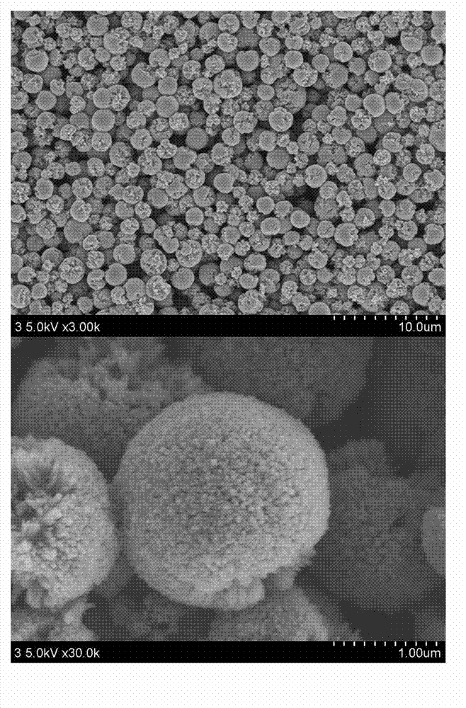 Method for preparing rutile type titanium dioxide nanorod microsphere