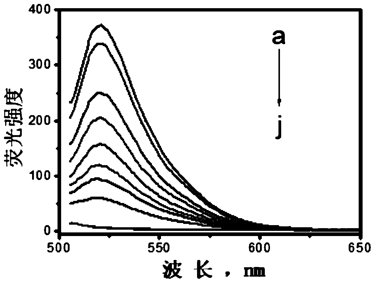 A nucleic acid detection system and its detection method and application