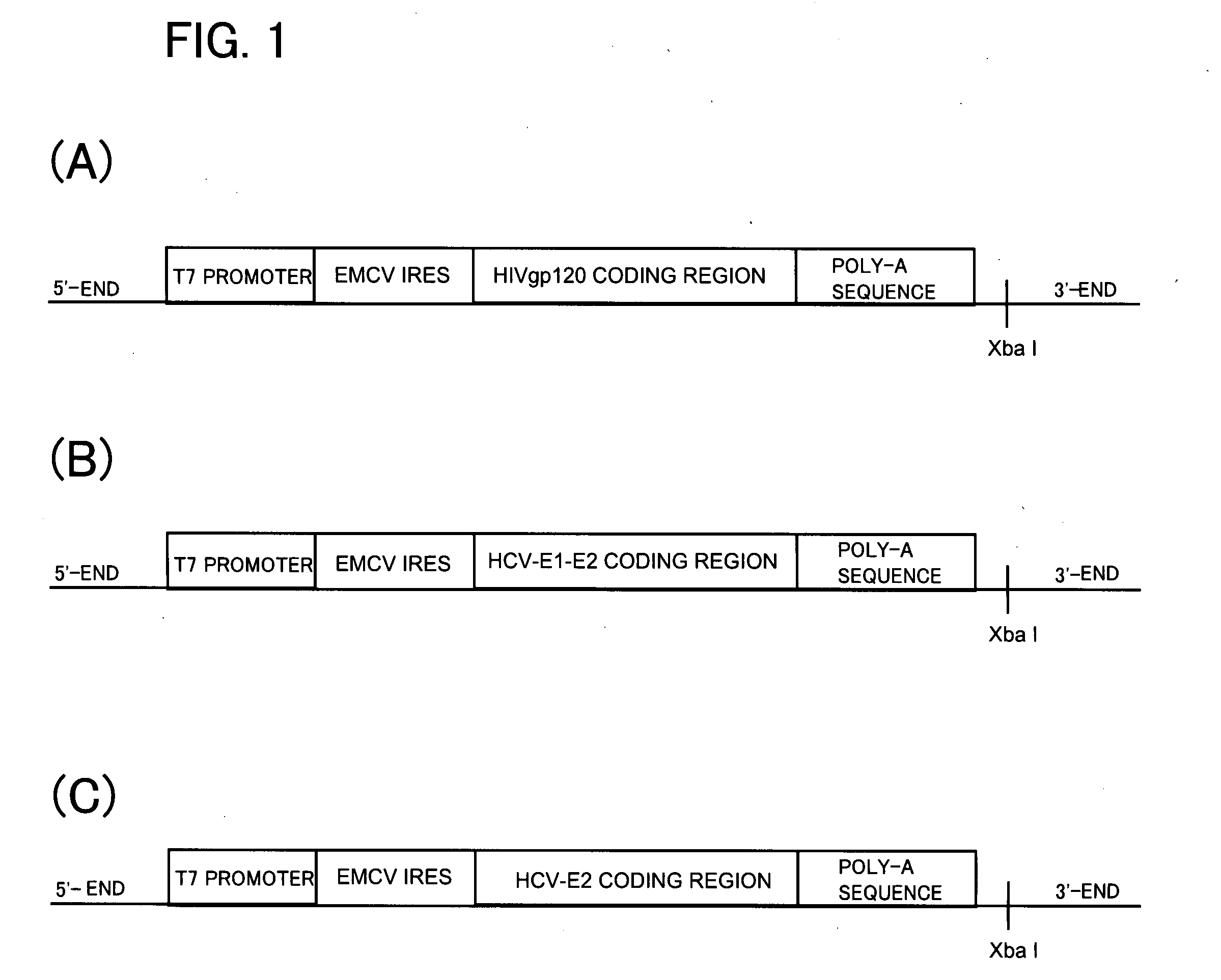 Cell-free protein synthesis system for synthesizing glycoprotein