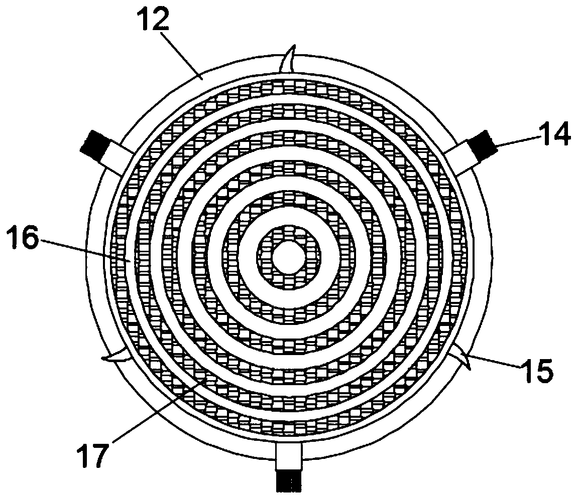 Boiler scale removing device