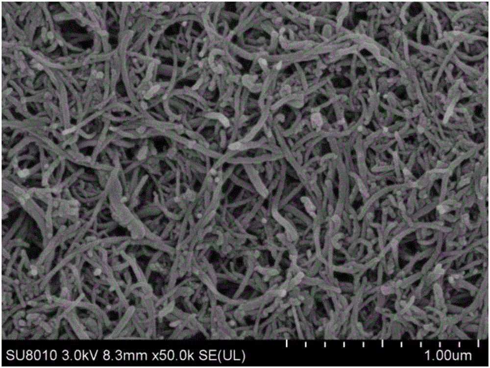 Composite-modified electrode for measuring concentration of 5'-Guanylic acid disodium salt and application thereof