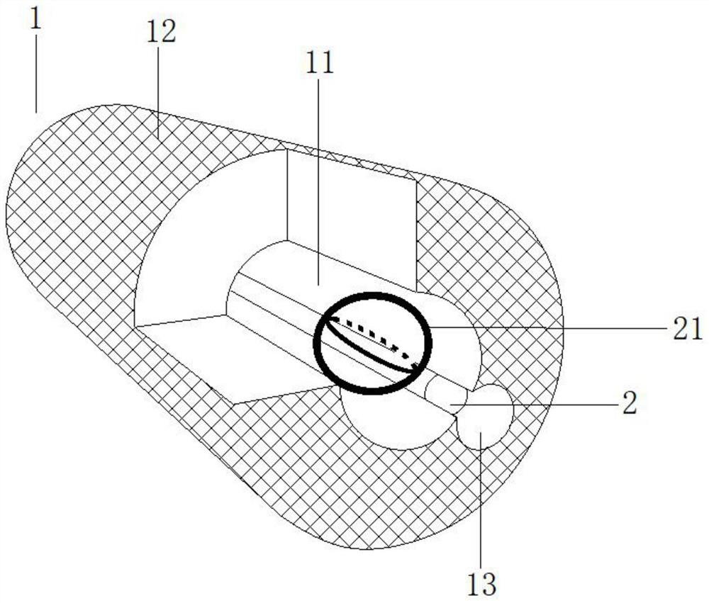 Drainage device capable of achieving rapid recanalization