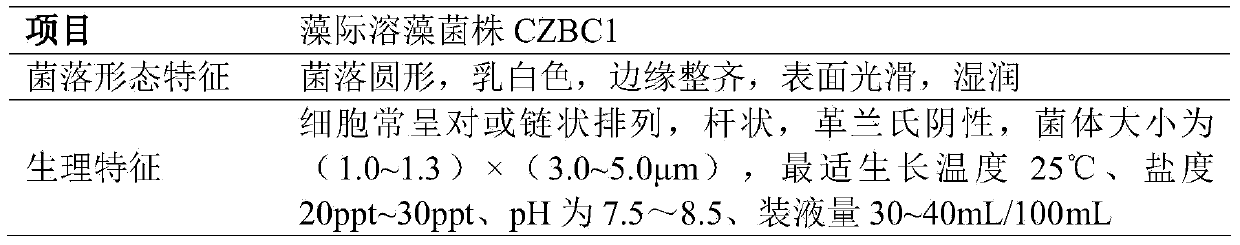 Bacillus cereus strain CZBC1 capable of dissolving pond oscillatoria, and its application