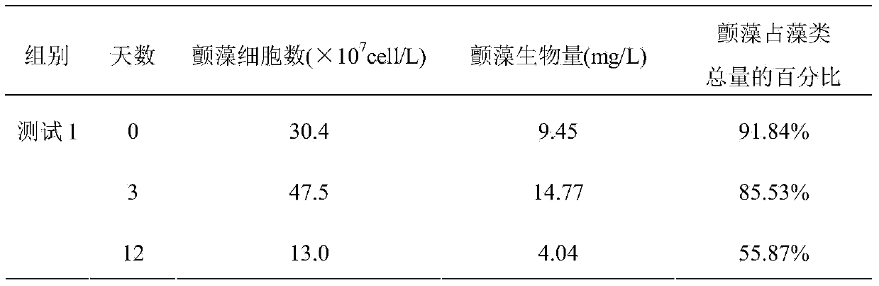 Bacillus cereus strain CZBC1 capable of dissolving pond oscillatoria, and its application