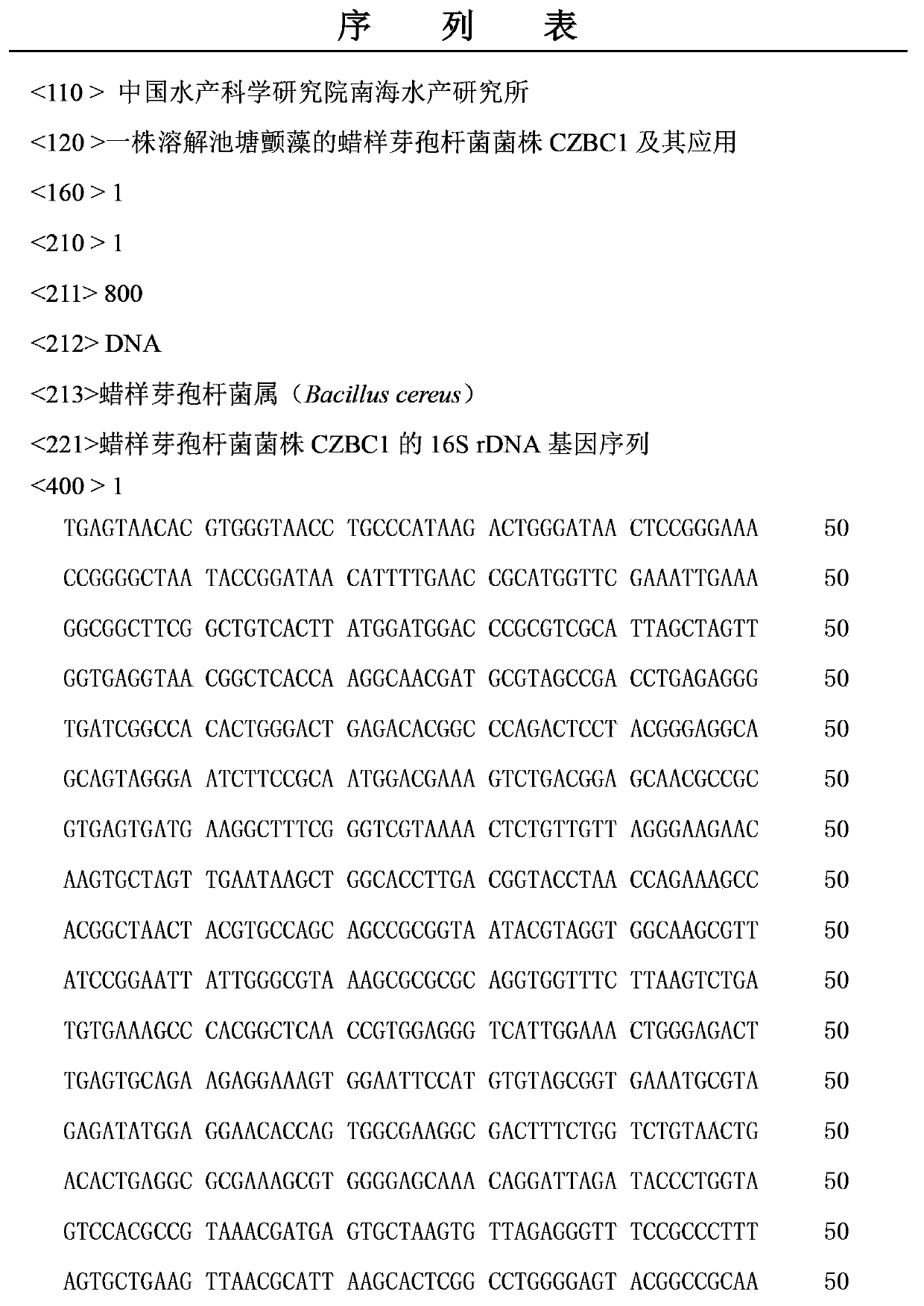 Bacillus cereus strain CZBC1 capable of dissolving pond oscillatoria, and its application