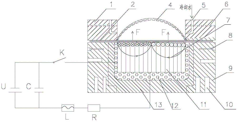 A magnetic pulse thermodynamically driven forming device and forming method for a titanium alloy plate