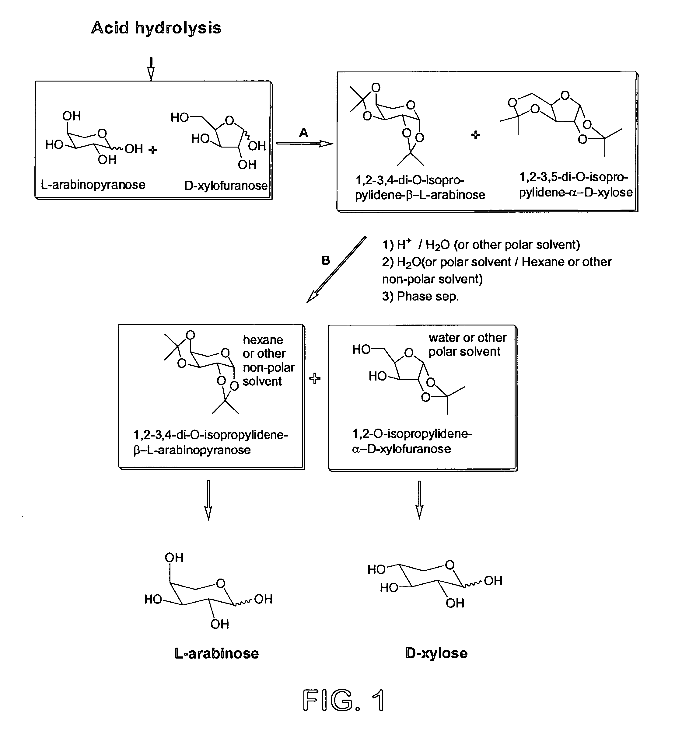 Process for the preparation and separation of arabinose and xylose from a mixture of saccharides