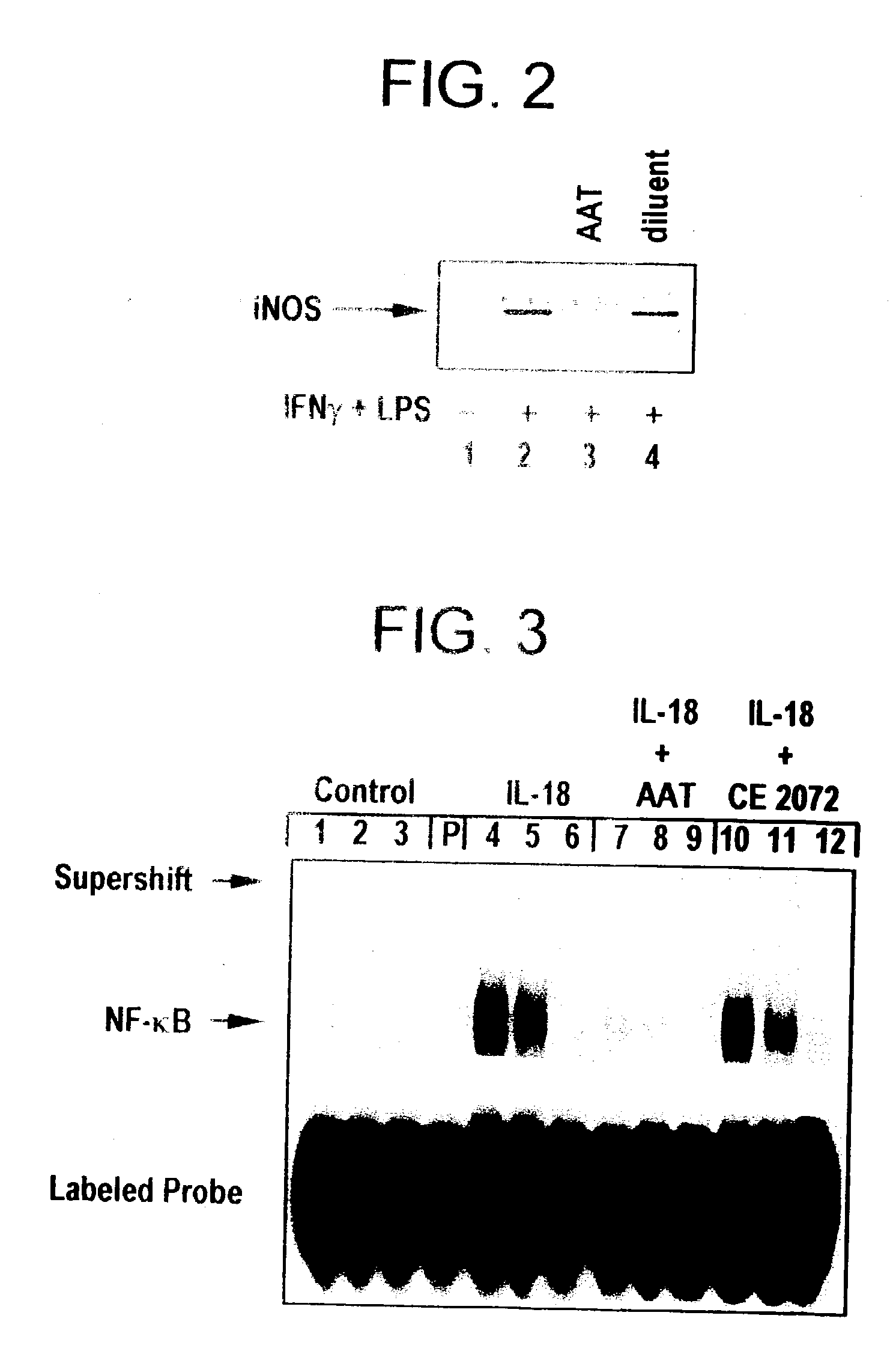 Inhibitors of serine protease activity, methods and compositions for treatment of nitric oxide induced clinical conditions