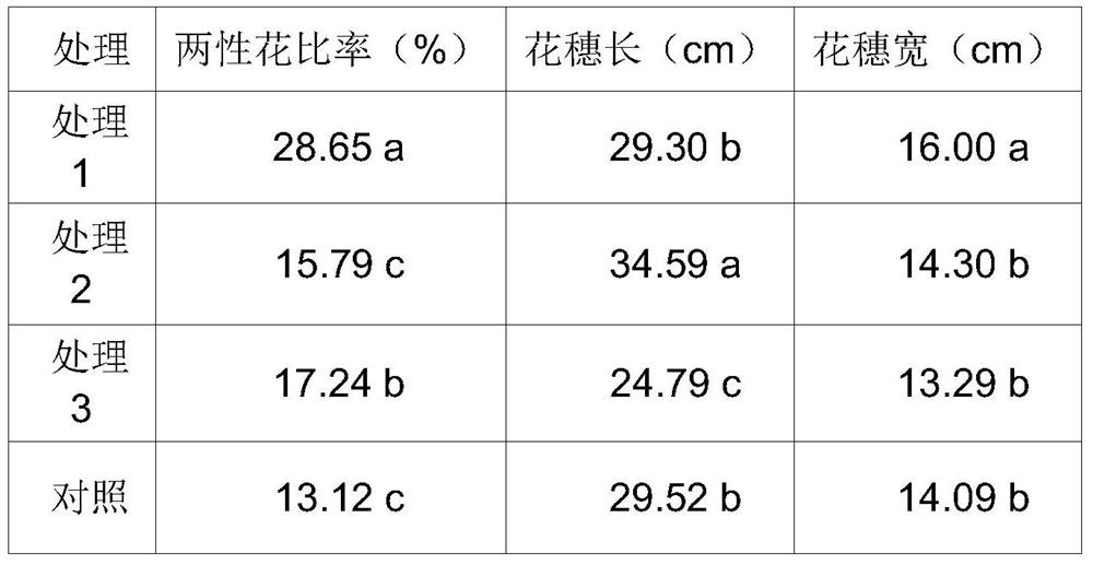 A high-efficiency planting method for two crops of Tainong mango a year