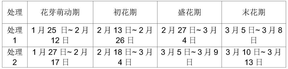 A high-efficiency planting method for two crops of Tainong mango a year