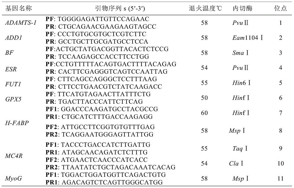 A Traceable SNP Molecular Marker of Pig Amy2 Gene and Its Detection Method