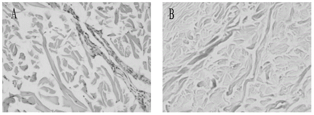 Tendon reinforcing repairing material and preparation method thereof