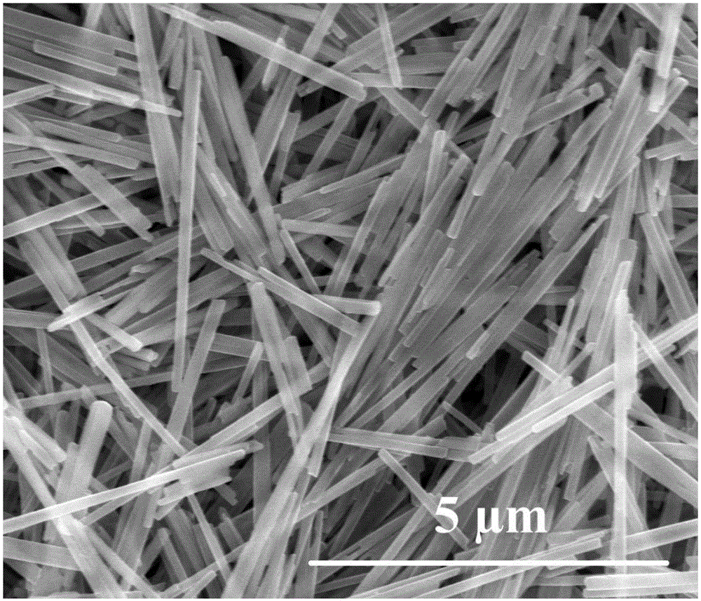 Ferric oxide nano material, preparation method of ferric oxide nano material, lithium ion battery negative pole and lithium ion battery