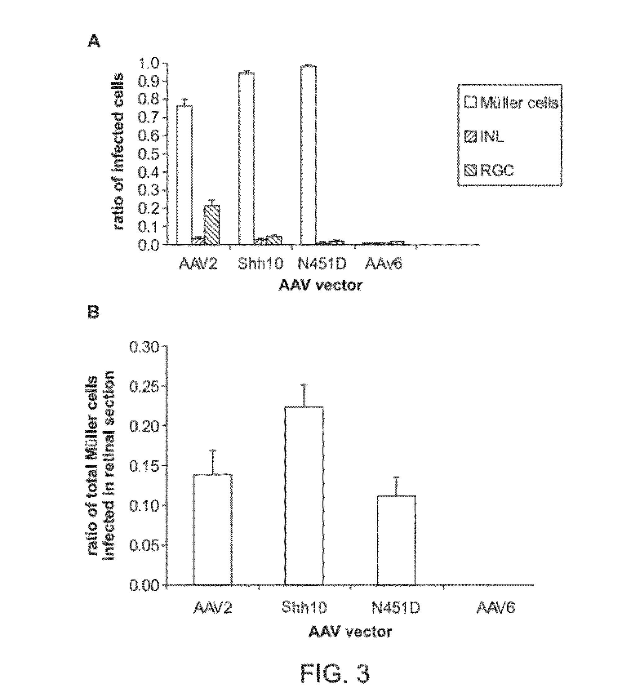 Adeno-associated virus virions with variant capsid and methods of use thereof