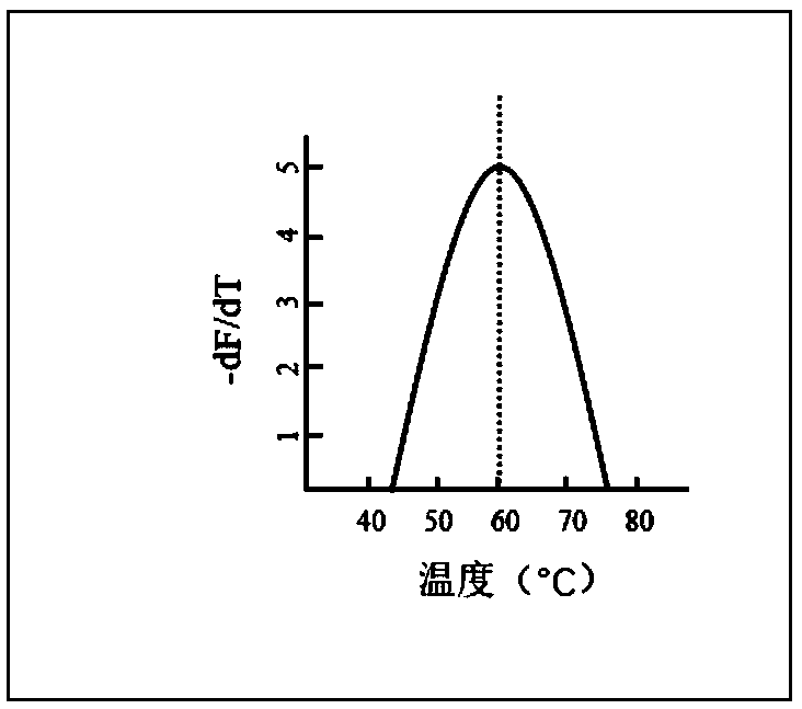 Screening method of gene polymorphism detection probe