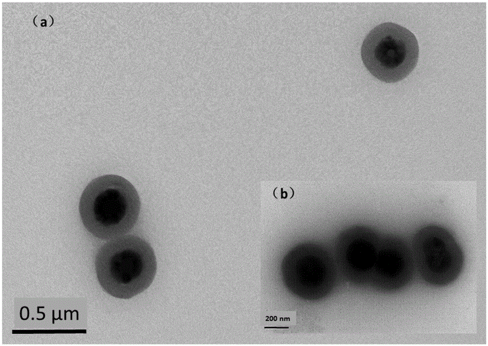 Method for preparing sulfydryl modified ferroferric oxide/silicon dioxide magnetic nanoparticles