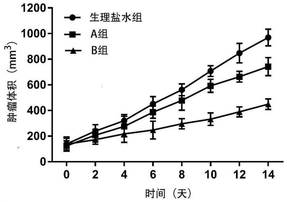 Dasatinib grafted polymer micelle, its freeze-dried powder injection, preparation method and application